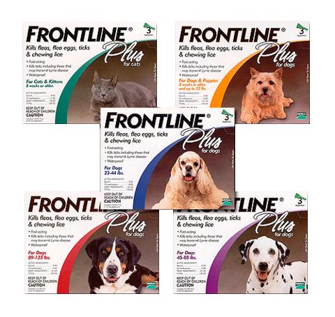 Frontline