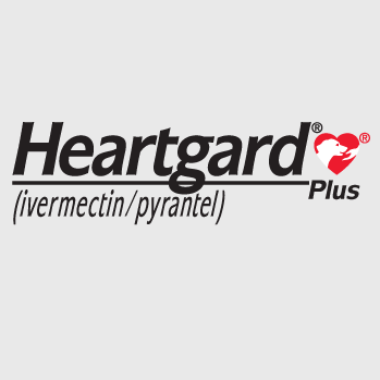 Heartgard Plus