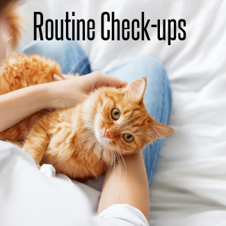 Routine Checkups